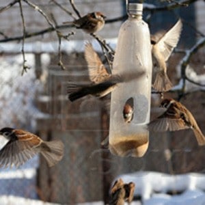 кормушка для птиц из бутылки 