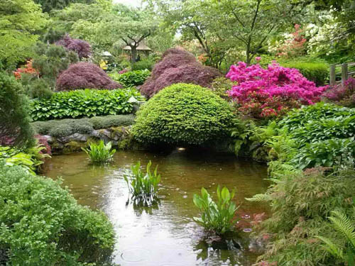 Хвойный сад в японском стиле