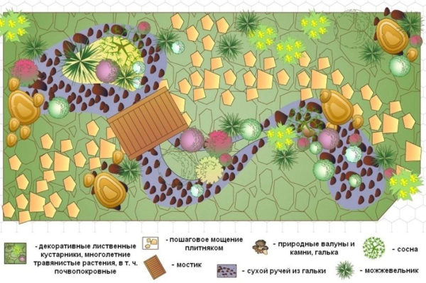Схема расположения растений