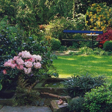 сад с цветущими кустарниками 