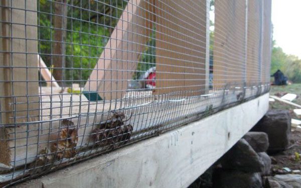 Ограда из сетки для курятника