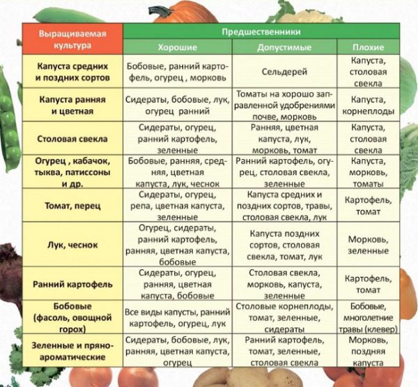 Таблица севооборота овощей
