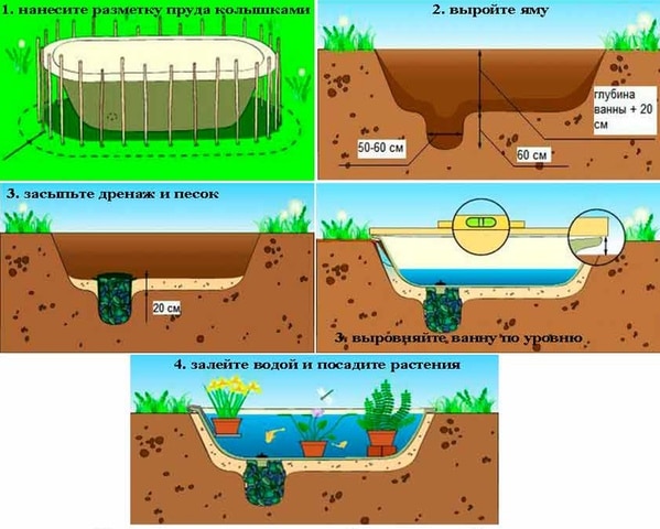 Этапы обустройства водоема